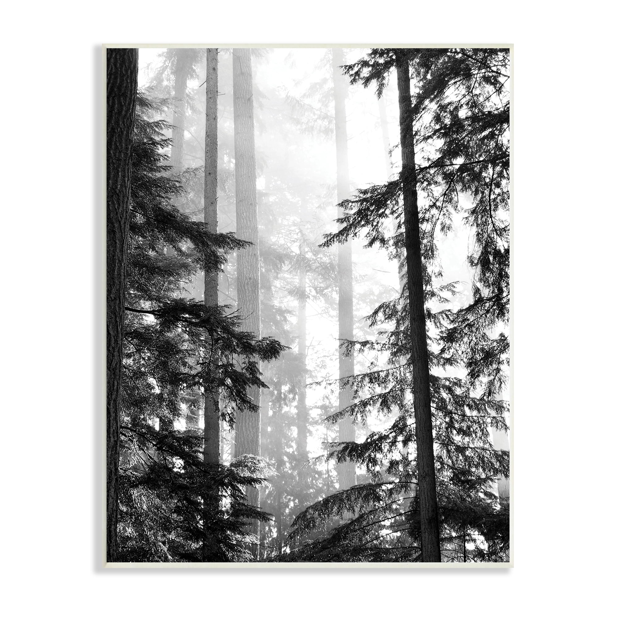 Forest Light Shining Through Trees Black and White Wall Plaque
