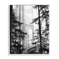 thumbnail image 1 of Forest Light Shining Through Tall Trees Landscape Photography White Framed Giclee Art, 16 x 20, 1 of 7
