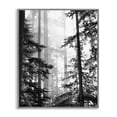 thumbnail image 1 of Forest Light Shining Through Tall Trees Landscape Photography Gray Framed Giclee Art, 24 x 30, 1 of 7