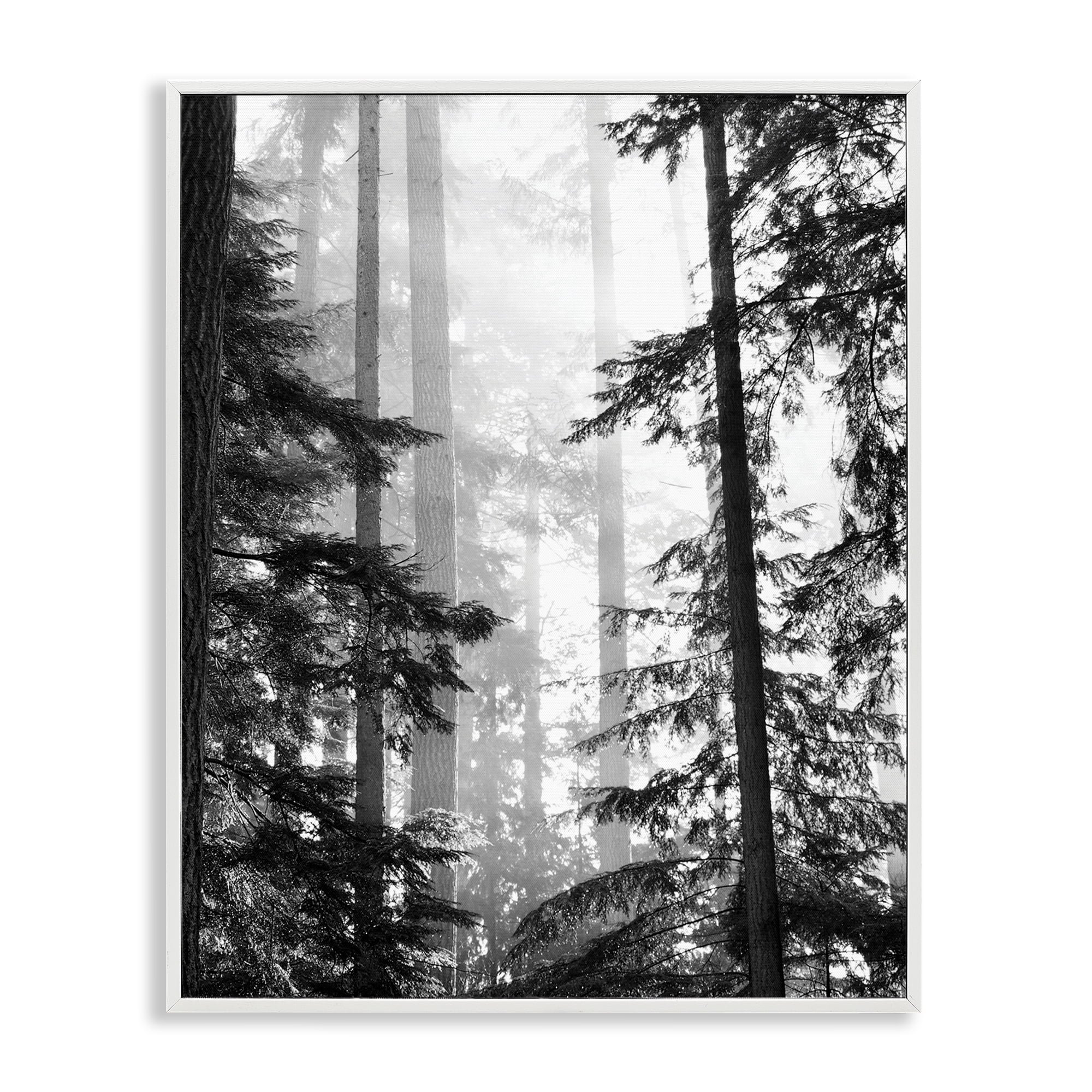 Free Shipping! Stupell Industries Framed Wall Art Forest Light Through  Trees by Gail Peck 24x30 - Walmart.com, image size:2000x2000