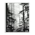 thumbnail image 1 of Forest Light Shining Through Tall Trees Landscape Photography White Framed Giclee Art, 24 x 30, Made In USA, 1 of 7