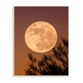 thumbnail image 1 of Stupell Indtries Full Moon Photography Tree Branch Silhouette Autumn Sky,10 x 15,Design by Birch&Ink, 1 of 6