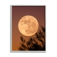 thumbnail image 1 of Stupell Indtries Full Moon Photography Tree Branch Silhouette Autumn Sky,11 x 14,Design by Birch&Ink, 1 of 7