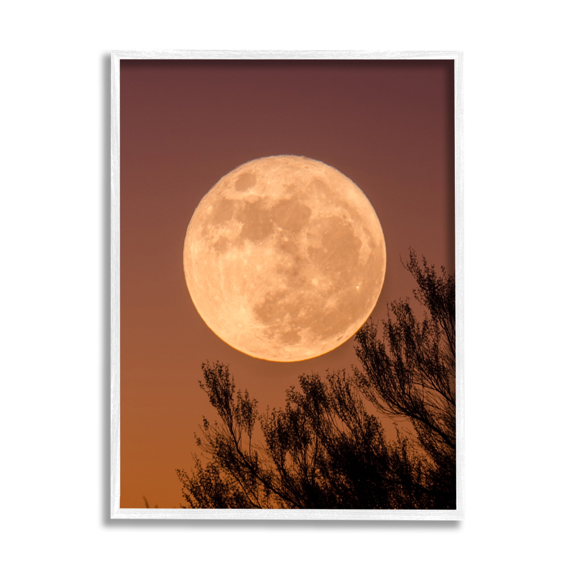 Stupell Indtries Full Moon Photography Tree Branch Silhouette Autumn Sky,11 x 14,Design by Birch&Ink