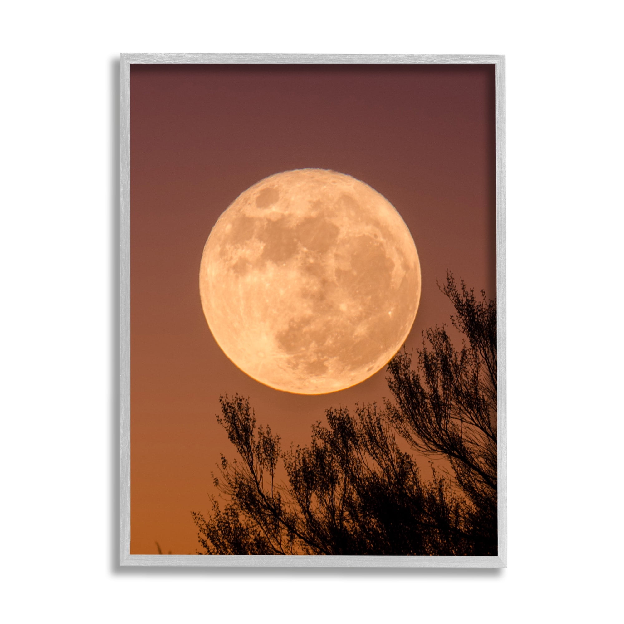Stupell Indtries Full Moon Photography Tree Branch Silhouette Autumn Sky,16 x 20,Design by Birch&Ink