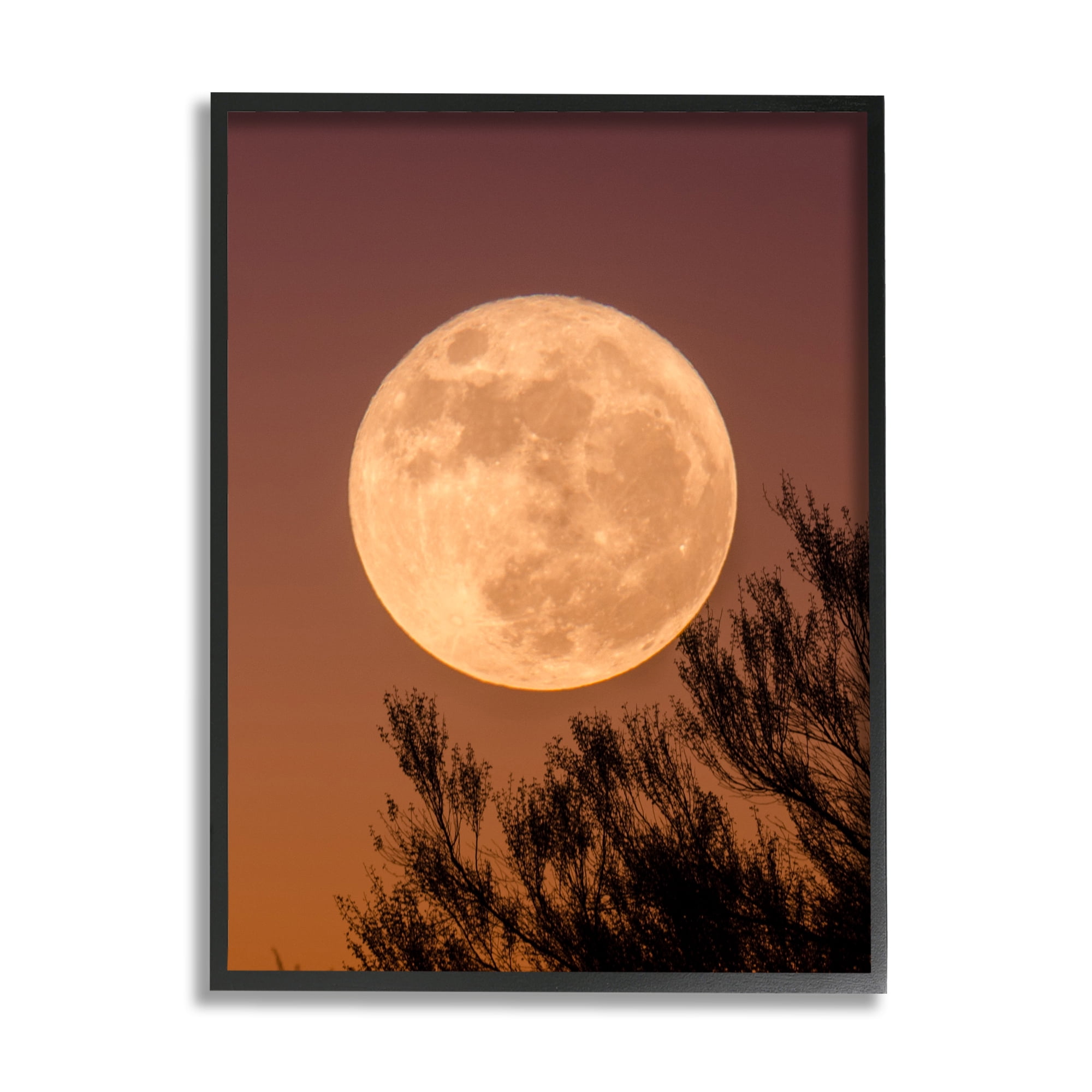 Stupell Indtries Full Moon Photography Tree Branch Silhouette Autumn Sky,16 x 20,Design by Birch&Ink