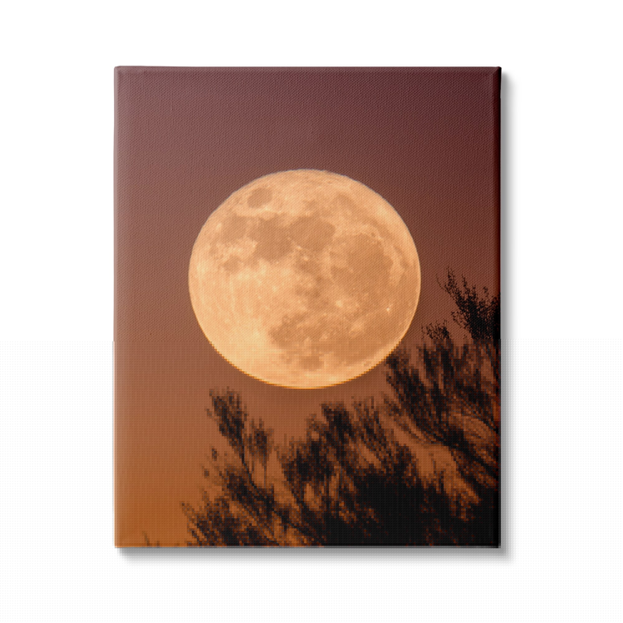 Stupell Indtries Full Moon Photography Tree Branch Silhouette Autumn Sky,24 x 30,Design by Birch&Ink