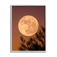 thumbnail image 1 of Stupell Indtries Full Moon Photography Tree Branch Silhouette Autumn Sky,24 x 30,Design by Birch&Ink, 1 of 7