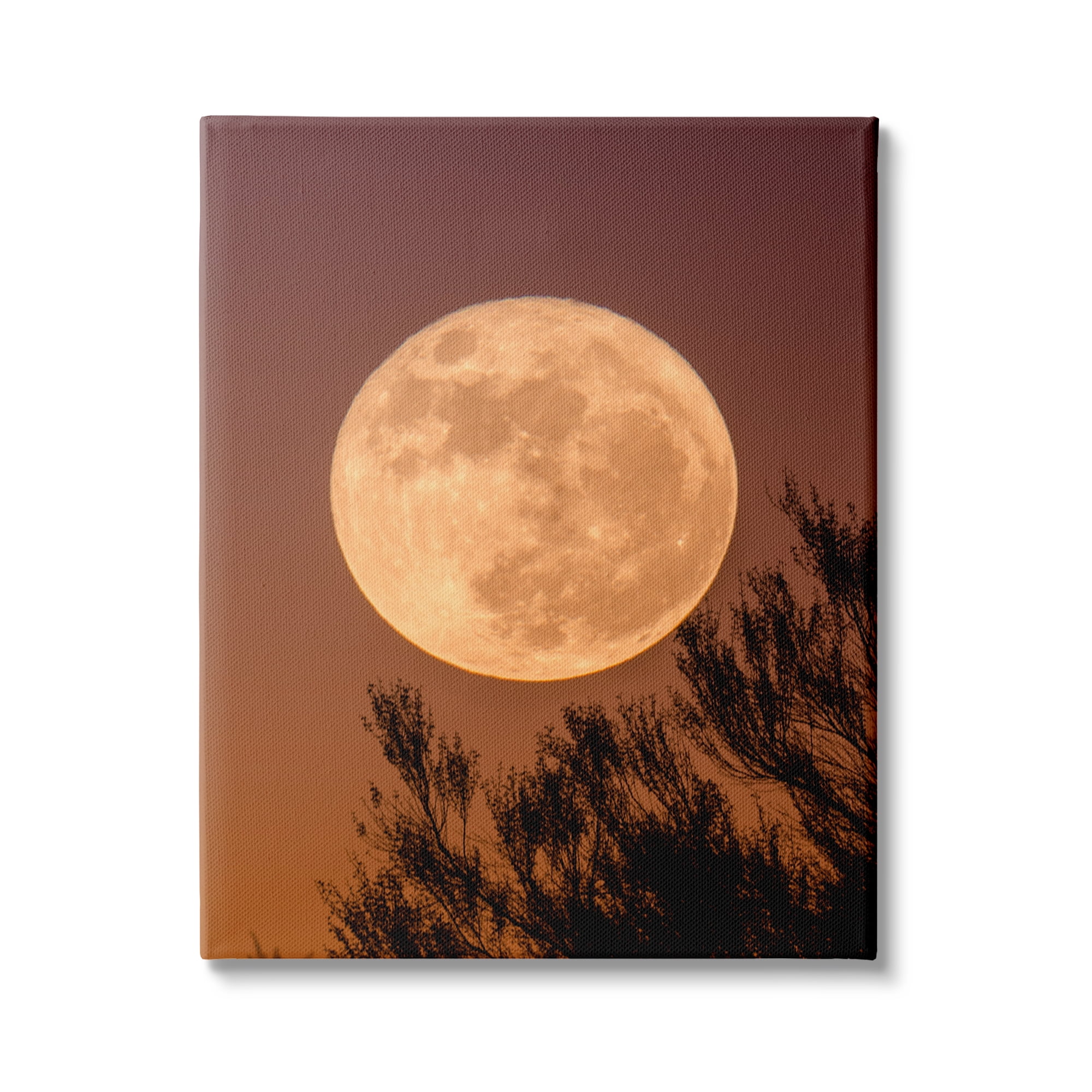 Stupell Indtries Full Moon Photography Tree Branch Silhouette Autumn Sky,30 x 40,Design by Birch&Ink