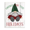 thumbnail image 1 of Stupell Indtries Gnome for the Holidays Festive Garden Elf Plaid, 13 x 19, Design by Daphne Polselli, 1 of 6