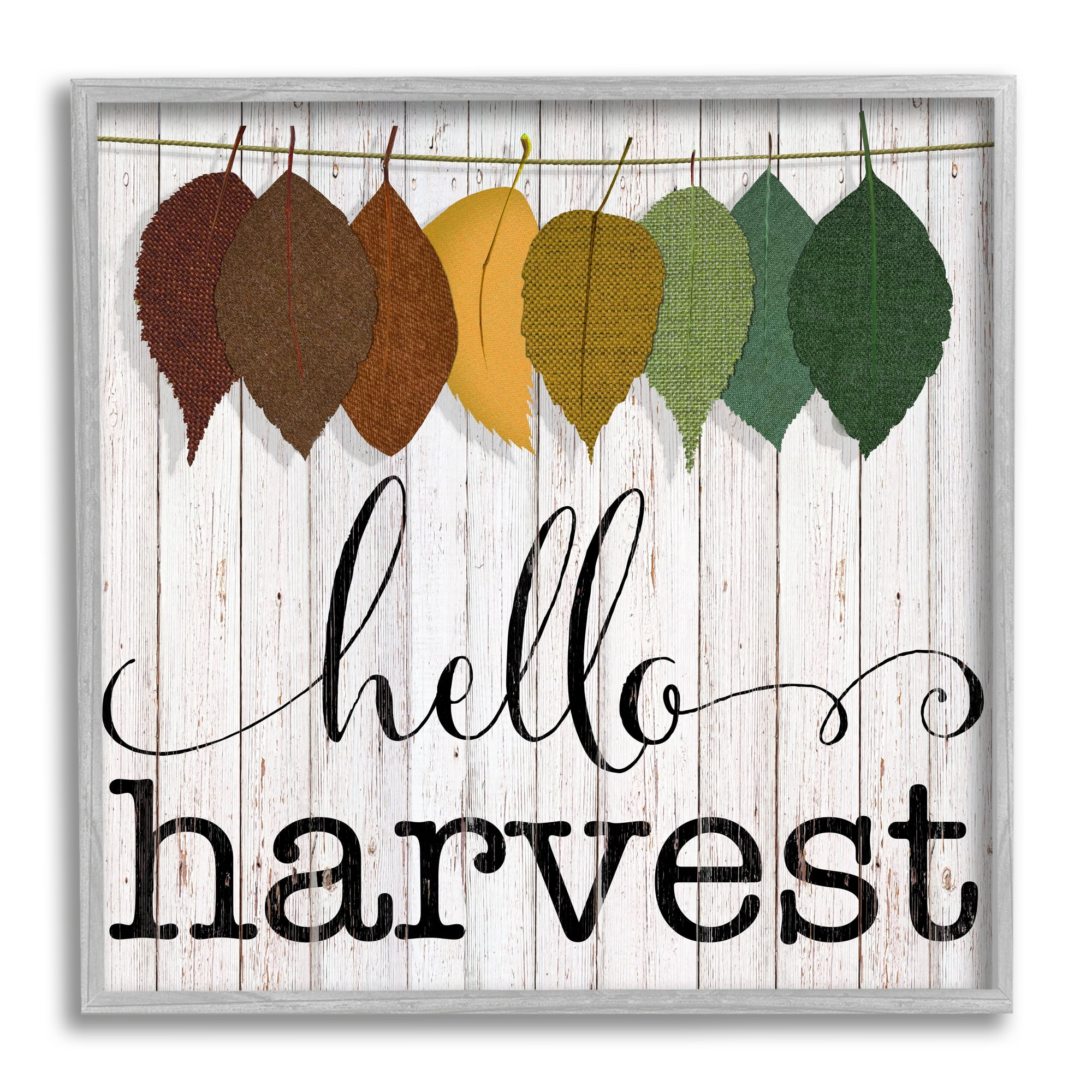 Stupell Indtries Hello Harvest Greeting Autumn Leaves Foliage Illtration,24 x 24,Design by CAD Designs