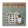 thumbnail image 1 of Stupell Indtries Hello Pumpkin Rtic Greeting Patchwork Plaid Gnome,24 x 24,Design by Livi Finn, 1 of 5
