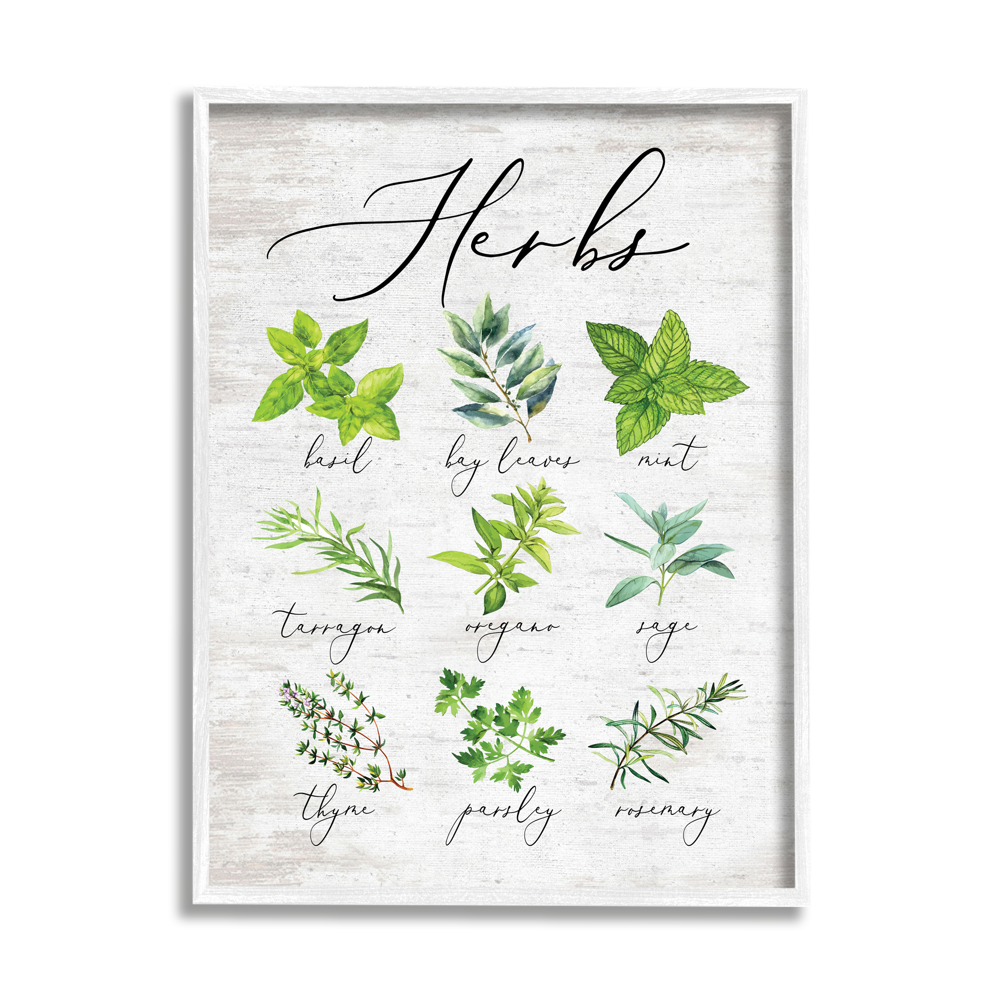 Stupell Indtries Kitchen Herb Reference Chart Garden Fresh Home Seasoning,11 x 14,Design by Lettered and Lined