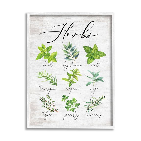 Stupell Indtries Kitchen Herb Reference Chart Garden Fresh Home Seasoning,16 x 20,Design by Lettered and Lined