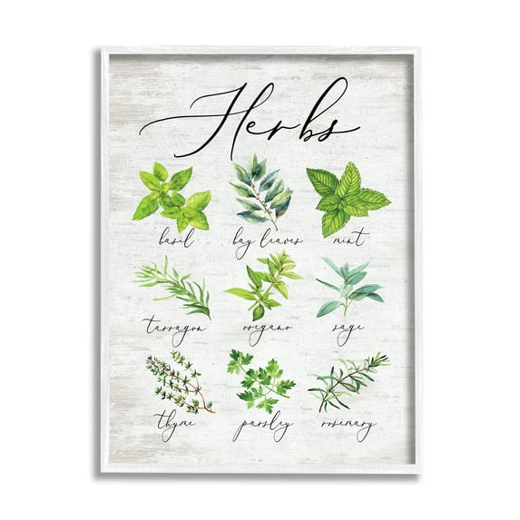 Stupell Indtries Kitchen Herb Reference Chart Garden Fresh Home Seasoning,24 x 30,Design by Lettered and Lined