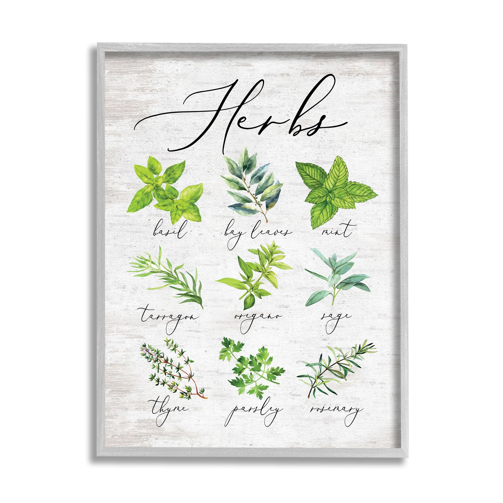 Stupell Indtries Kitchen Herb Reference Chart Garden Fresh Home Seasoning,24 x 30,Design by Lettered and Lined