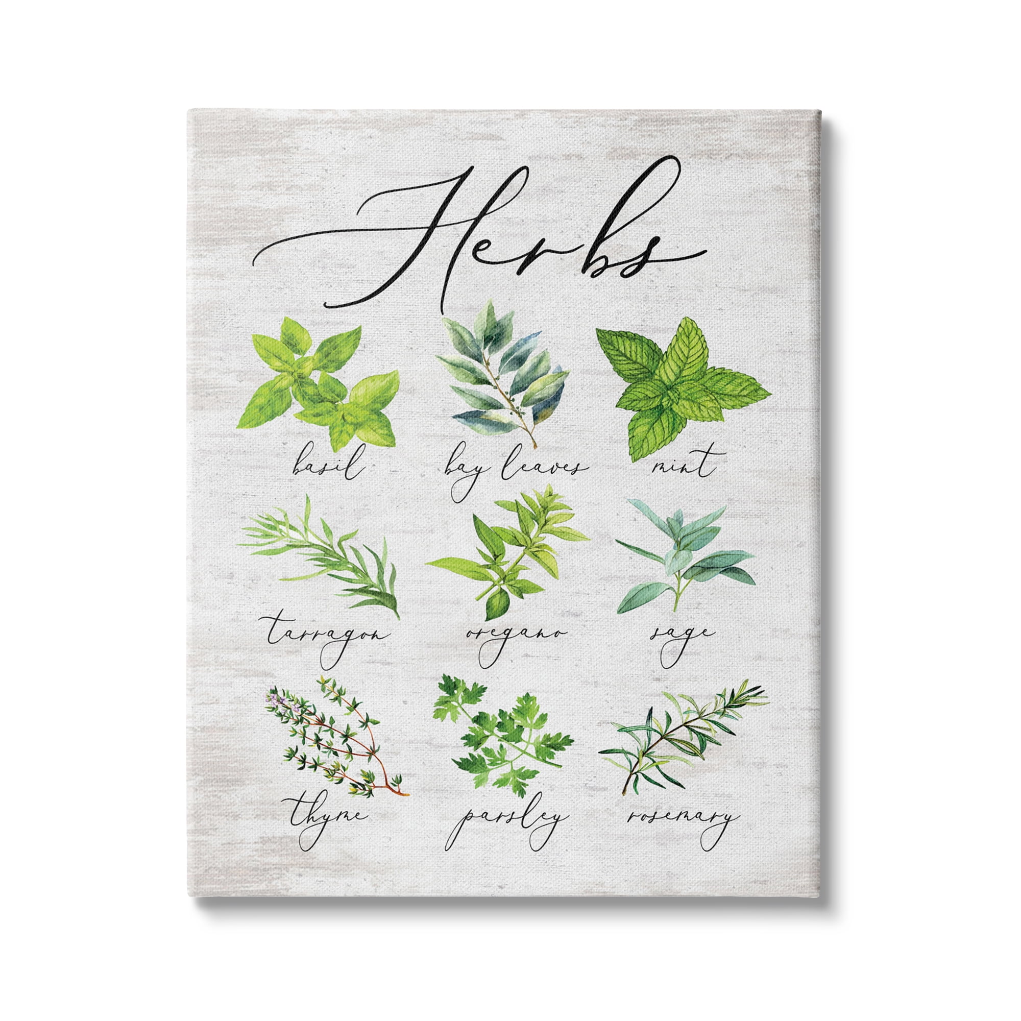 Stupell Indtries Kitchen Herb Reference Chart Garden Fresh Home Seasoning,30 x 40,Design by Lettered and Lined