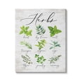 thumbnail image 1 of Stupell Indtries Kitchen Herb Reference Chart Garden Fresh Home Seasoning,36 x 48,Design by Lettered and Lined, 1 of 6