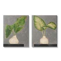 Stupell Indtries Large Palm Leaf Potted Plants Interior Still Life,16 x 20,Design by Jennifer Goldberger