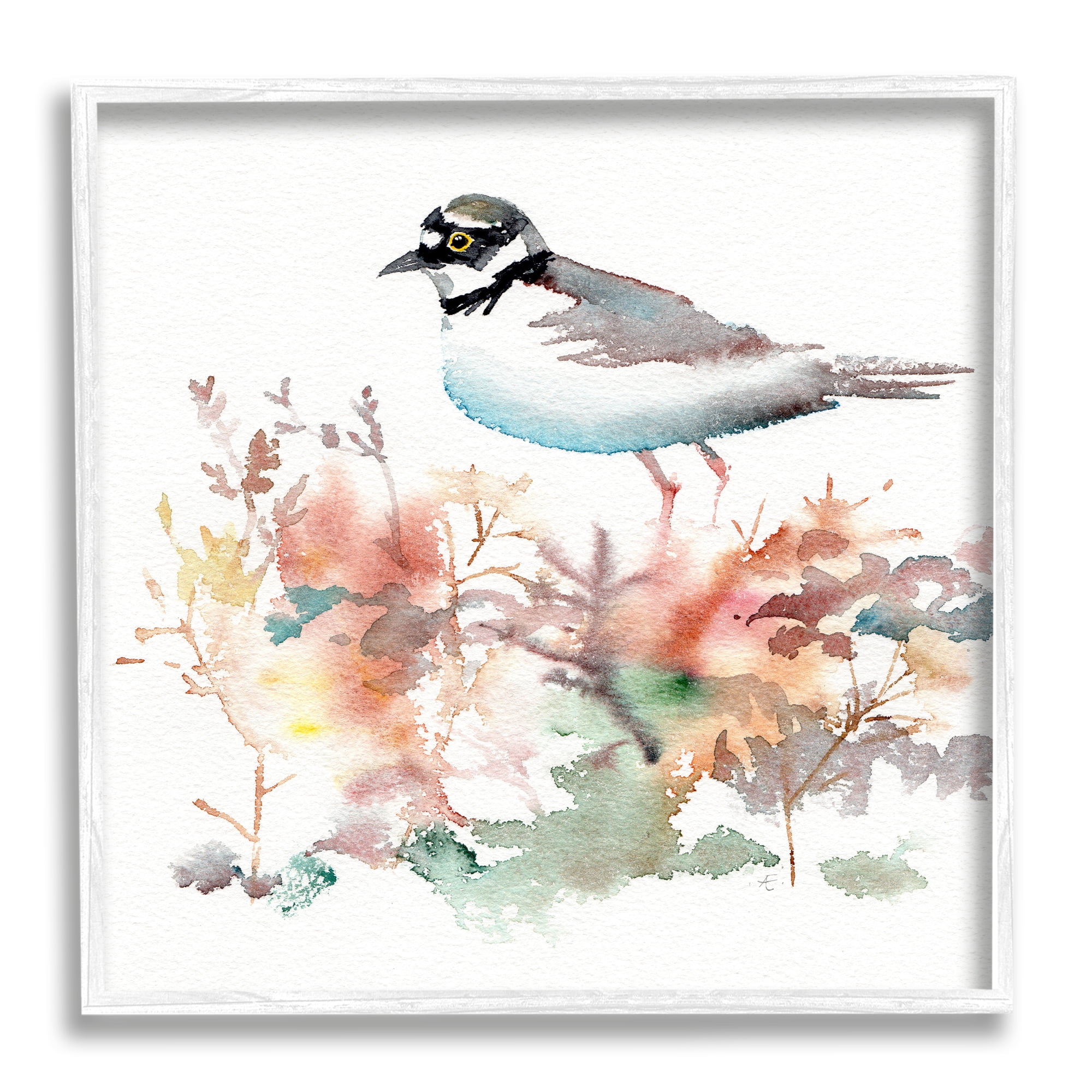 Stupell Indtries Little Ringed Plover Bird in Country Wildflower Field,12 x 12,Design by Verbrugge Watercolor