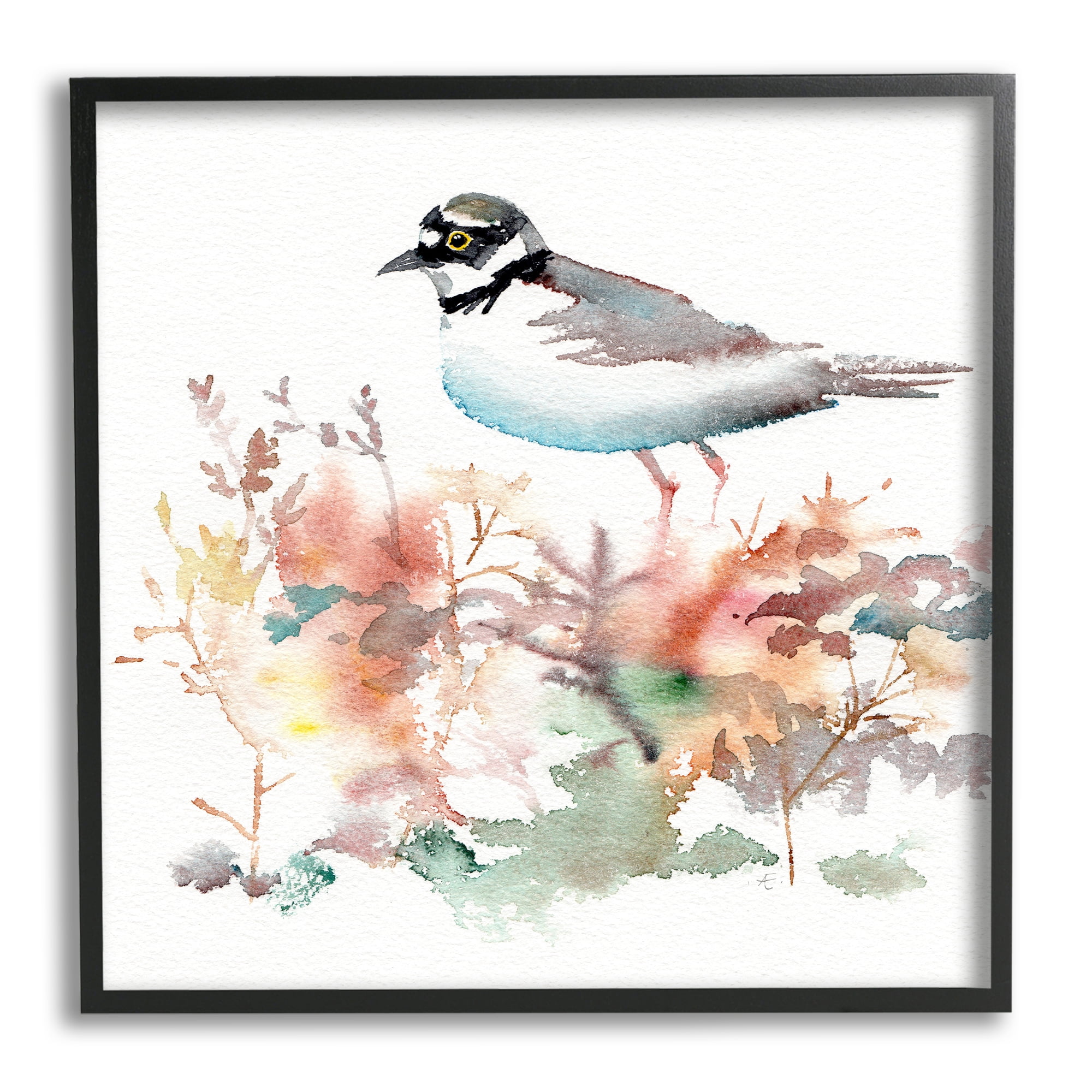 Stupell Indtries Little Ringed Plover Bird in Country Wildflower Field,17 x 30,Design by Verbrugge Watercolor