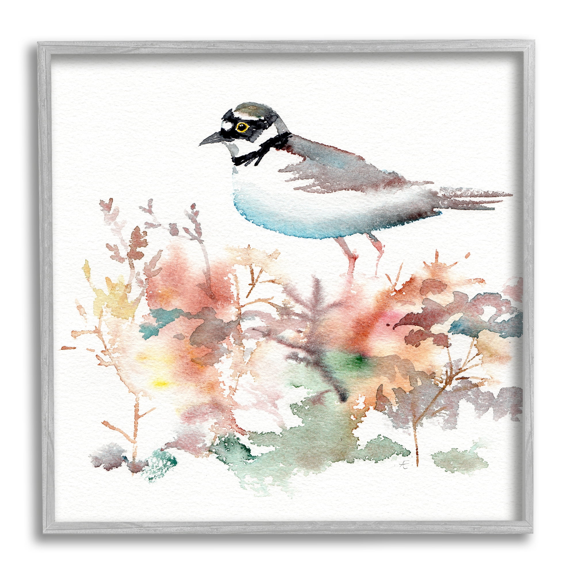 Stupell Indtries Little Ringed Plover Bird in Country Wildflower Field,24 x 24,Design by Verbrugge Watercolor