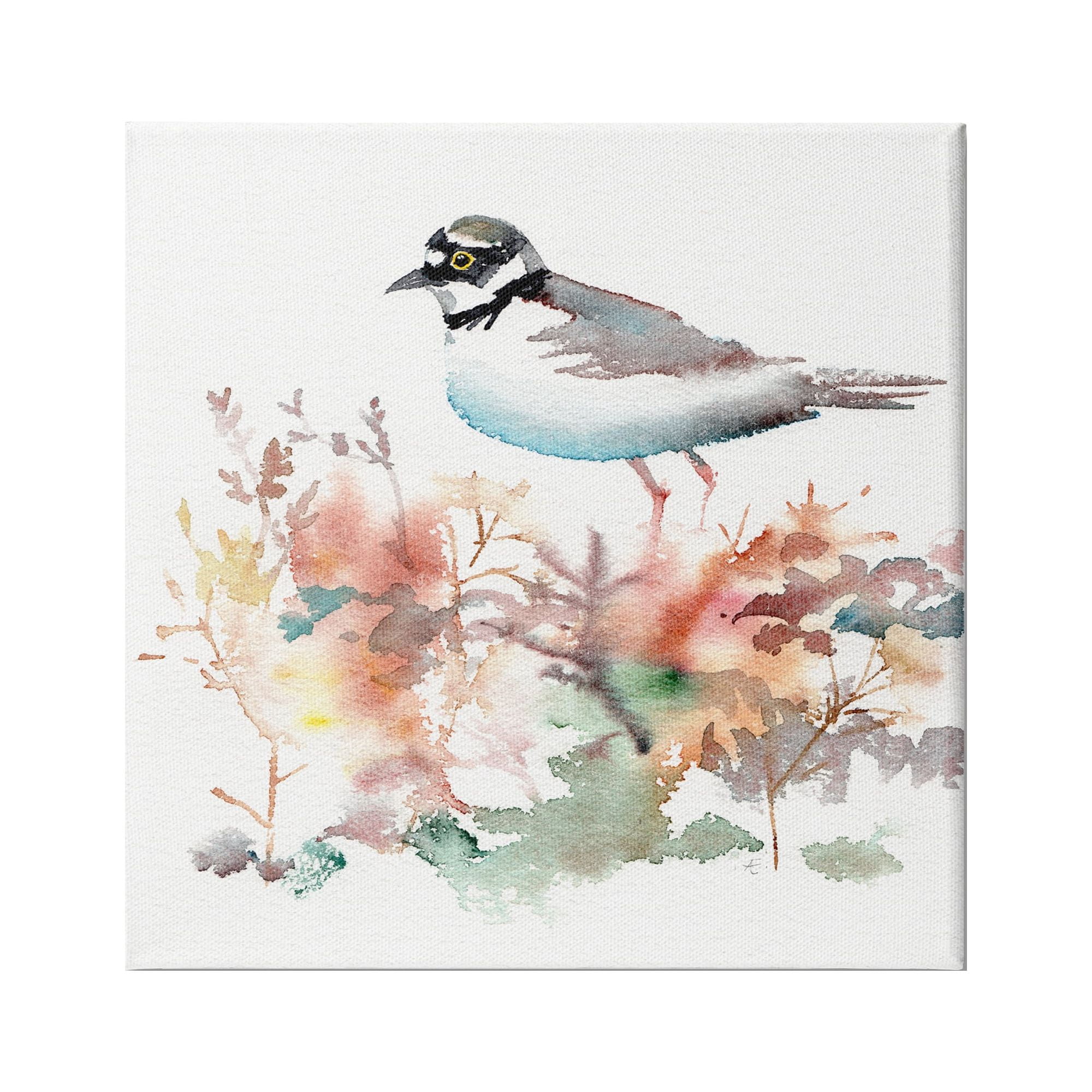 Stupell Indtries Little Ringed Plover Bird in Country Wildflower Field,24 x 24,Design by Verbrugge Watercolor