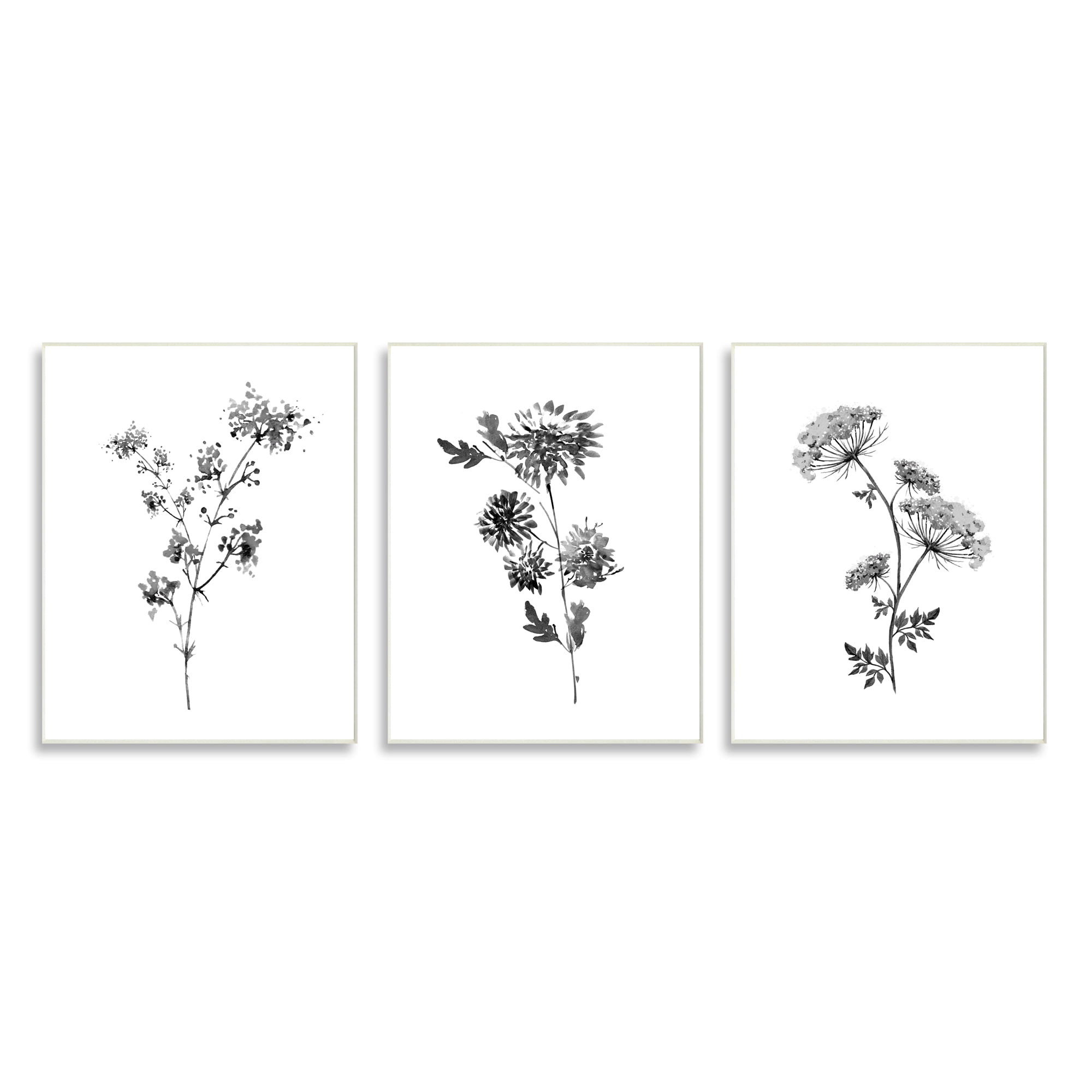 Stupell Indtries Minimal Cornflower and Wildflower Watercolor Black White Florals,10 x 15,Design by Conrad Knutsen