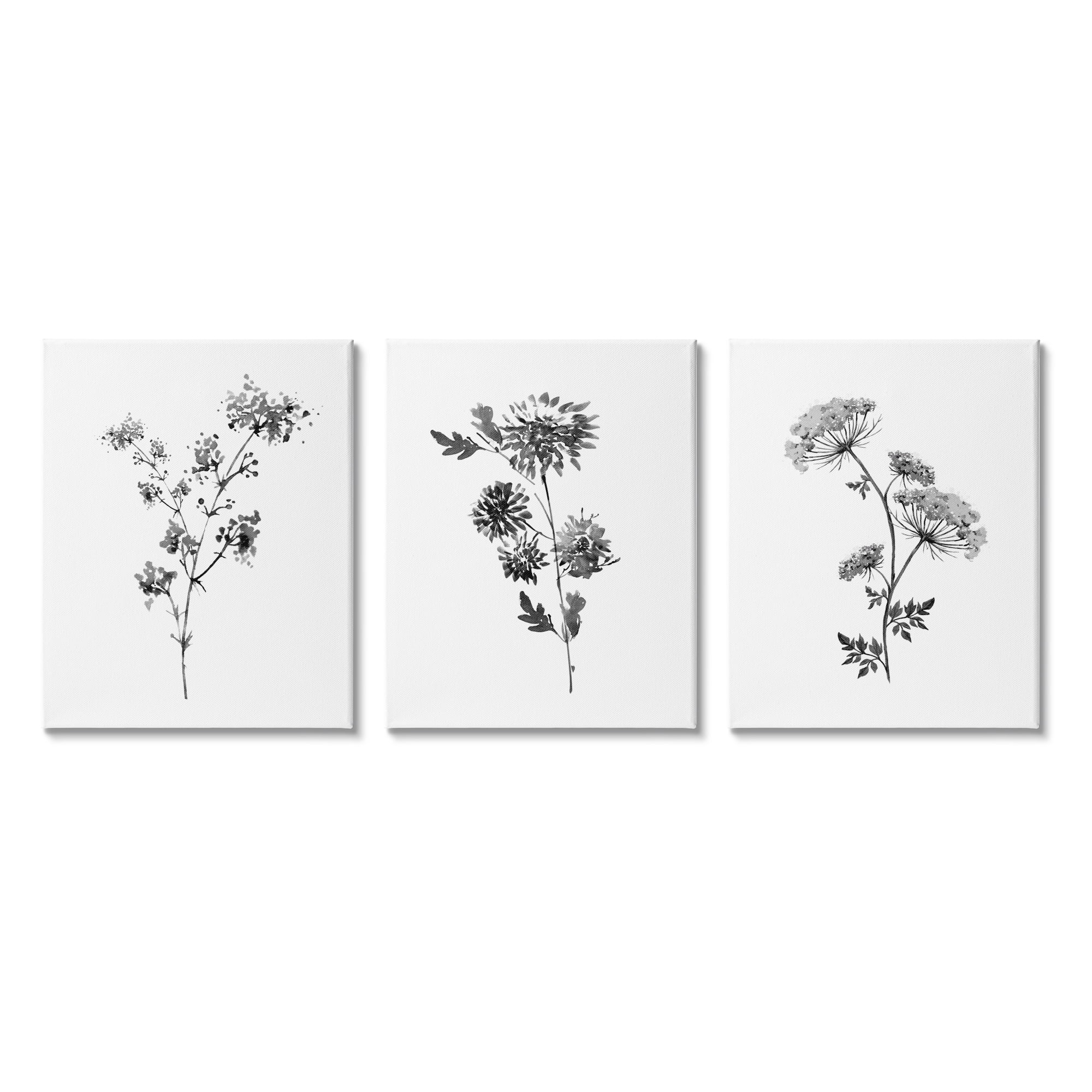 Stupell Indtries Minimal Cornflower and Wildflower Watercolor Black White Florals,24 x 30,Design by Conrad Knutsen