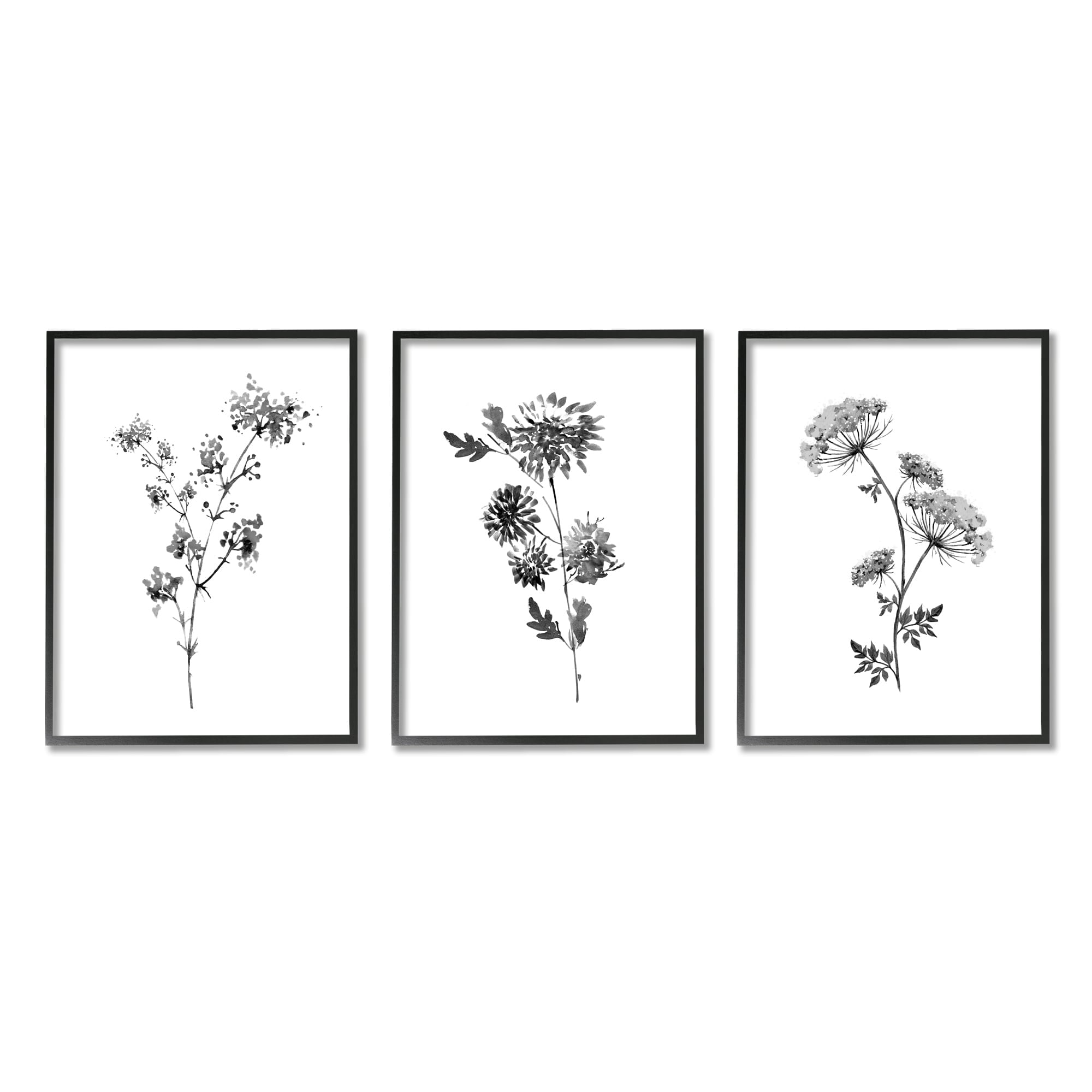 Stupell Indtries Minimal Cornflower and Wildflower Watercolor Black White Florals,24 x 30,Design by Conrad Knutsen