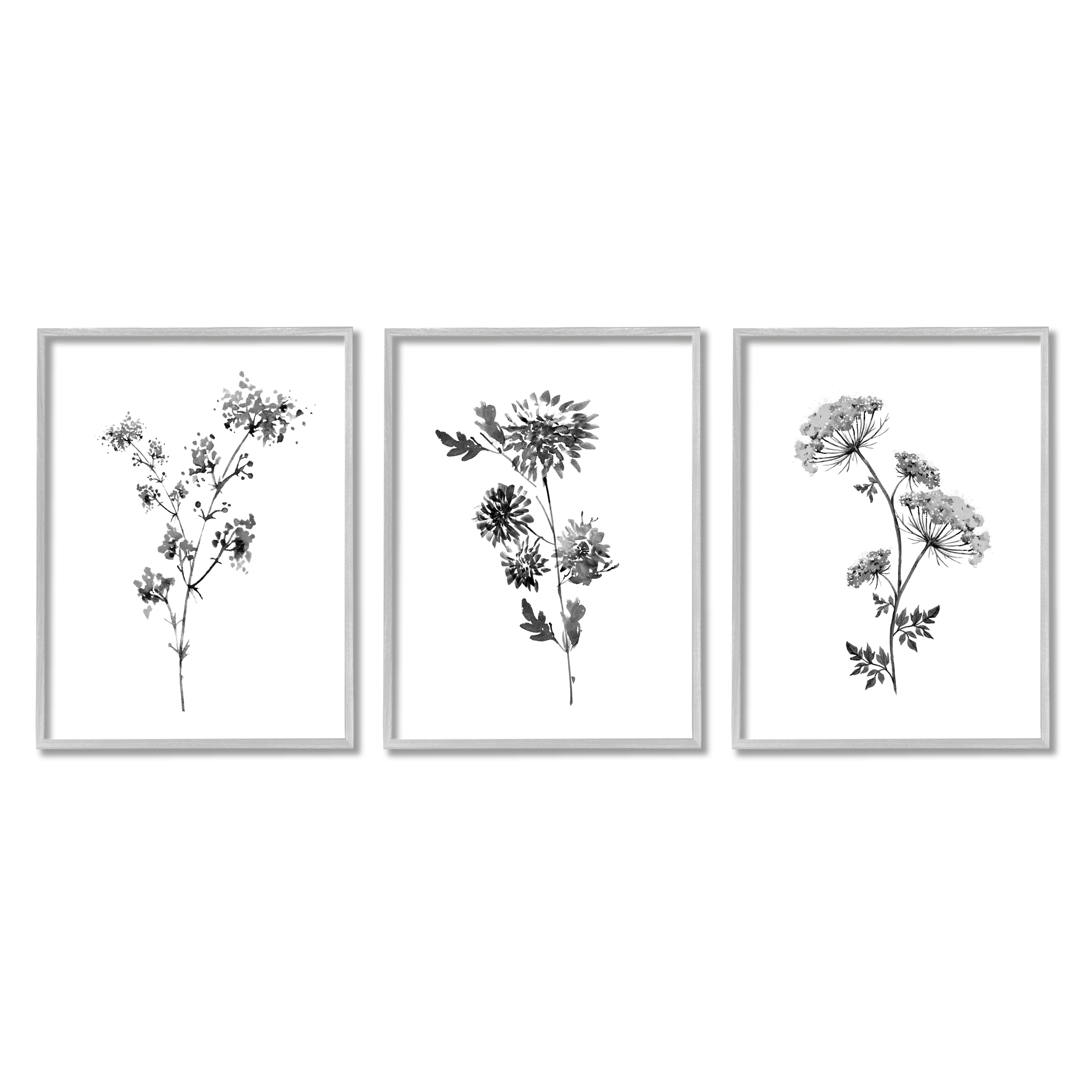 Stupell Indtries Minimal Cornflower and Wildflower Watercolor Black White Florals,24 x 30,Design by Conrad Knutsen
