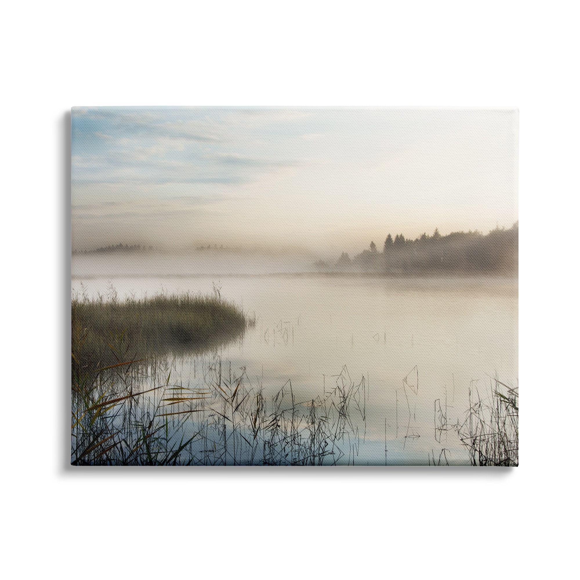 Stupell Indtries Misty Marsh Wetland Landscape Tall Grass Distant Forest,20 x 16,Design by Irene Weisz