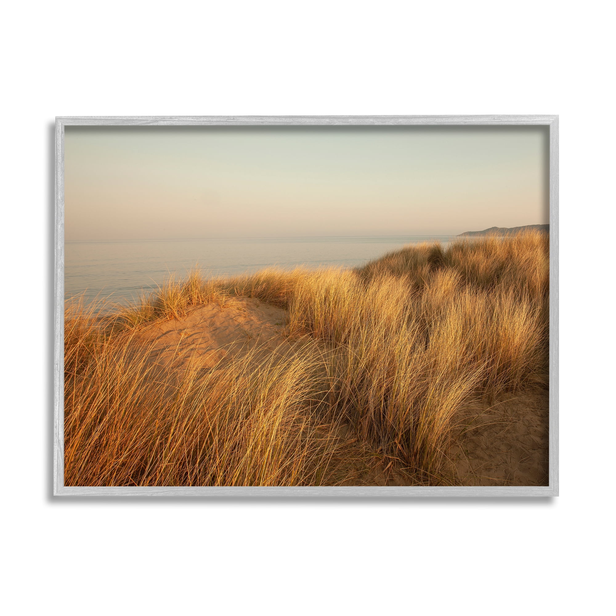 Stupell Indtries Ocean Cliff Sunset Sun Bleached Grass Seaside Photography,14 x 11,Design by Ian Winstanley