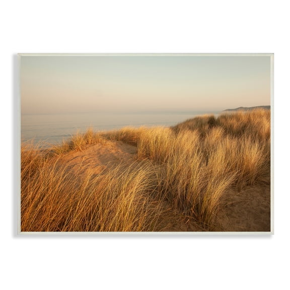 Stupell Indtries Ocean Cliff Sunset Sun Bleached Grass Seaside Photography,15 x 10,Design by Ian Winstanley