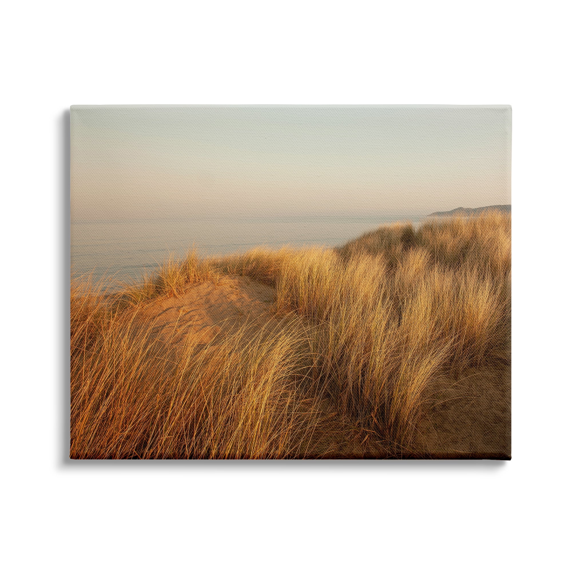 Stupell Indtries Ocean Cliff Sunset Sun Bleached Grass Seaside Photography,20 x 16,Design by Ian Winstanley