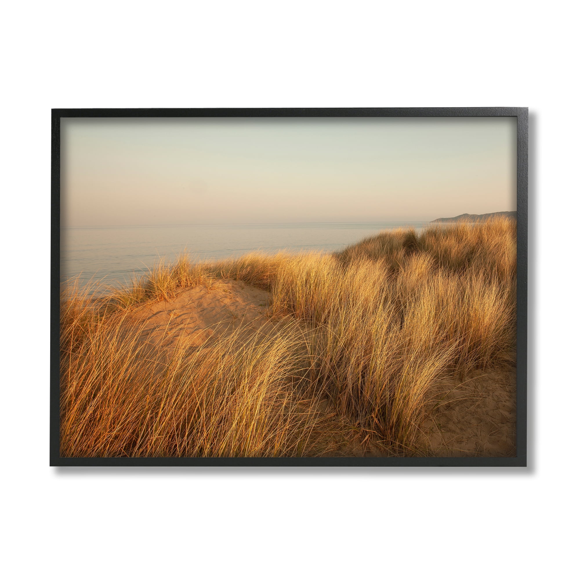 Stupell Indtries Ocean Cliff Sunset Sun Bleached Grass Seaside Photography,30 x 24,Design by Ian Winstanley