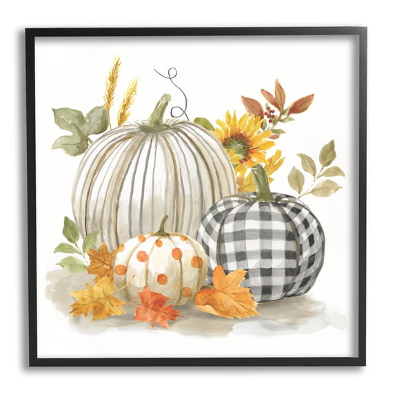 Stupell Indtries Patterned Pumpkins Autumn Harvest Country Still Life ,24 x 24,Design by Nan