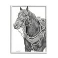 thumbnail image 1 of Stupell Indtries Riding Horse Portrait Minimal Elegant Pencil Mark Pattern,11 x 14,Design by Andrea Kochish, 1 of 7