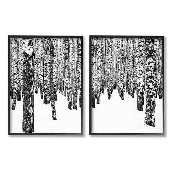 Stupell Indtries Rtic Winter Forest Scene Black White Birch Trees,16 x 20,Design by Design Fabrikken