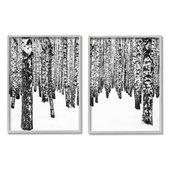 Stupell Indtries Rtic Winter Forest Scene Black White Birch Trees,16 x 20,Design by Design Fabrikken