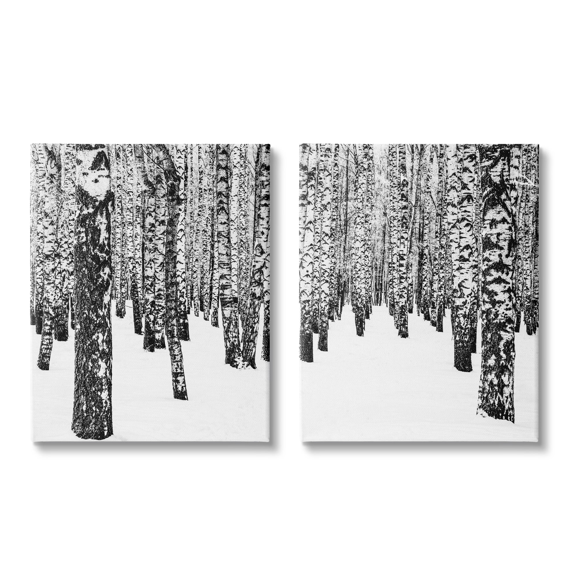 Stupell Indtries Rtic Winter Forest Scene Black White Birch Trees,16 x 20,Design by Design Fabrikken
