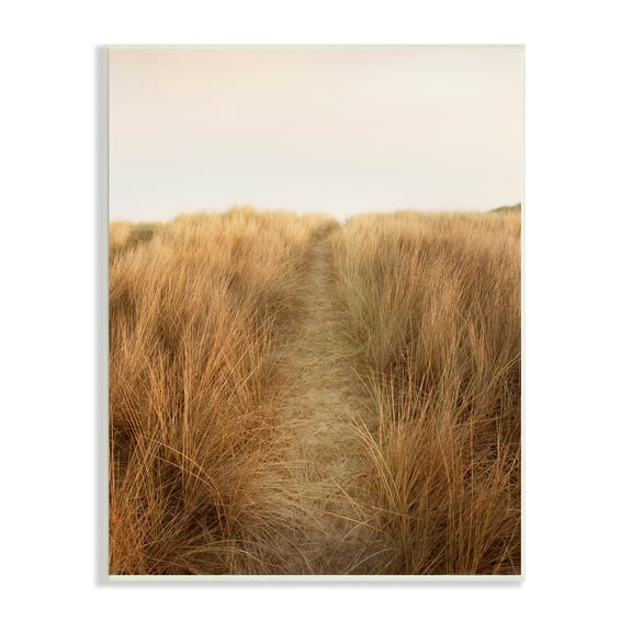 Stupell Indtries Summer Sand Dune Pathway Sun Bleached Grassy Landscape,10 x 15,Design by Ian Winstanley