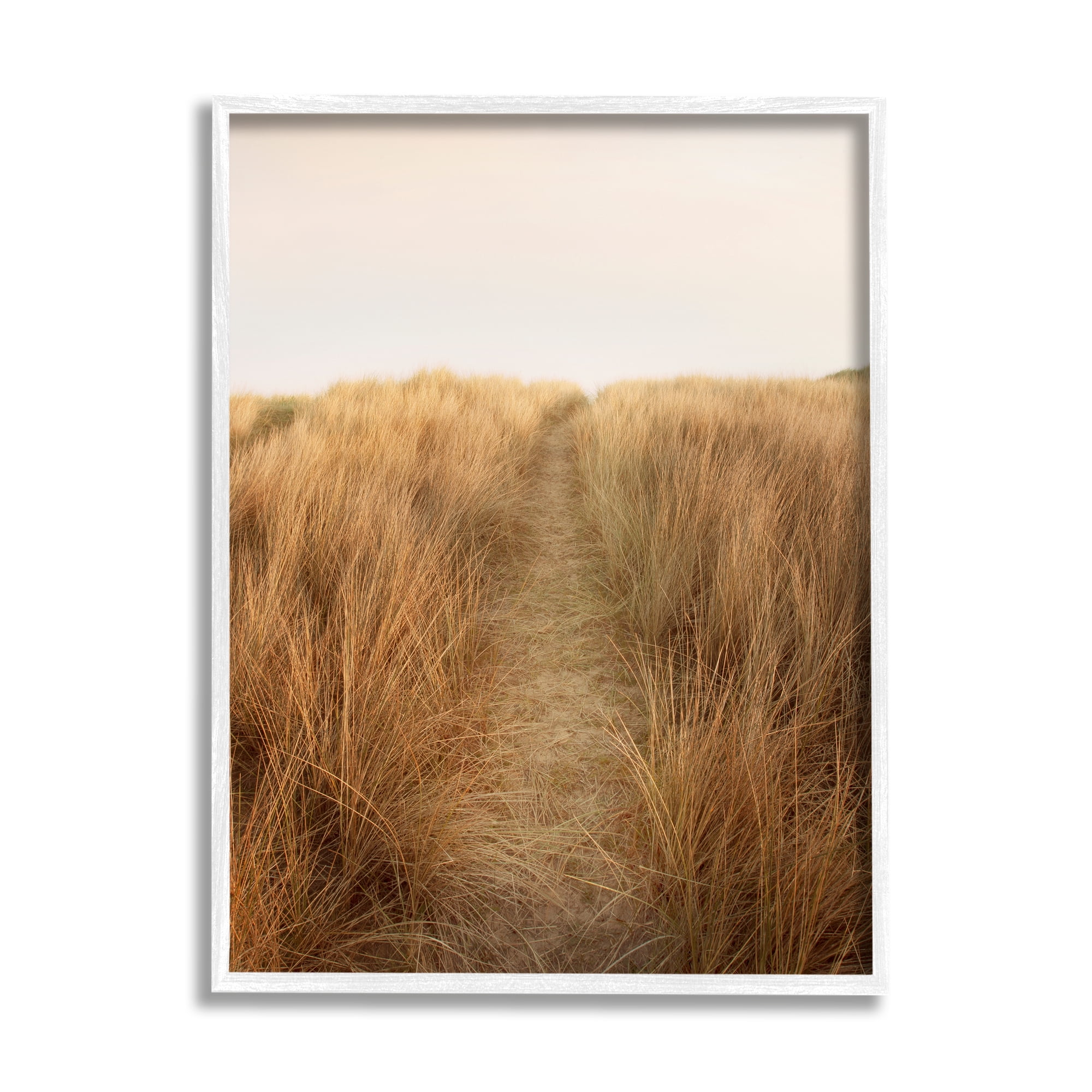 Stupell Indtries Summer Sand Dune Pathway Sun Bleached Grassy Landscape,24 x 30,Design by Ian Winstanley