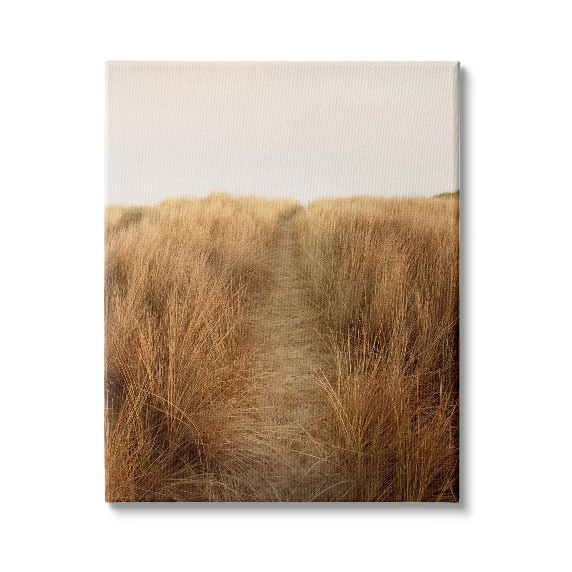 Stupell Indtries Summer Sand Dune Pathway Sun Bleached Grassy Landscape,30 x 40,Design by Ian Winstanley