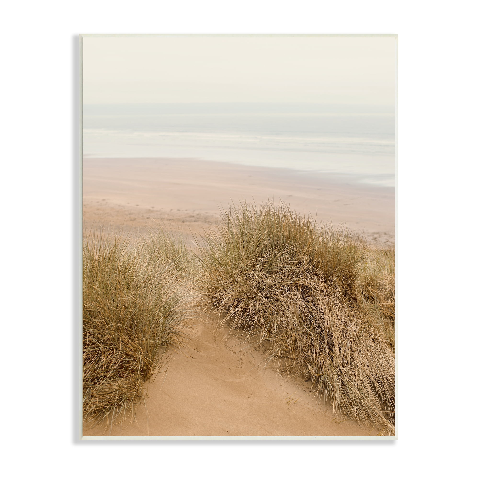 Stupell Indtries Sun Bleached Beach Coast Tall Grass Sand Dunes,13 x 19,Design by Ian Winstanley