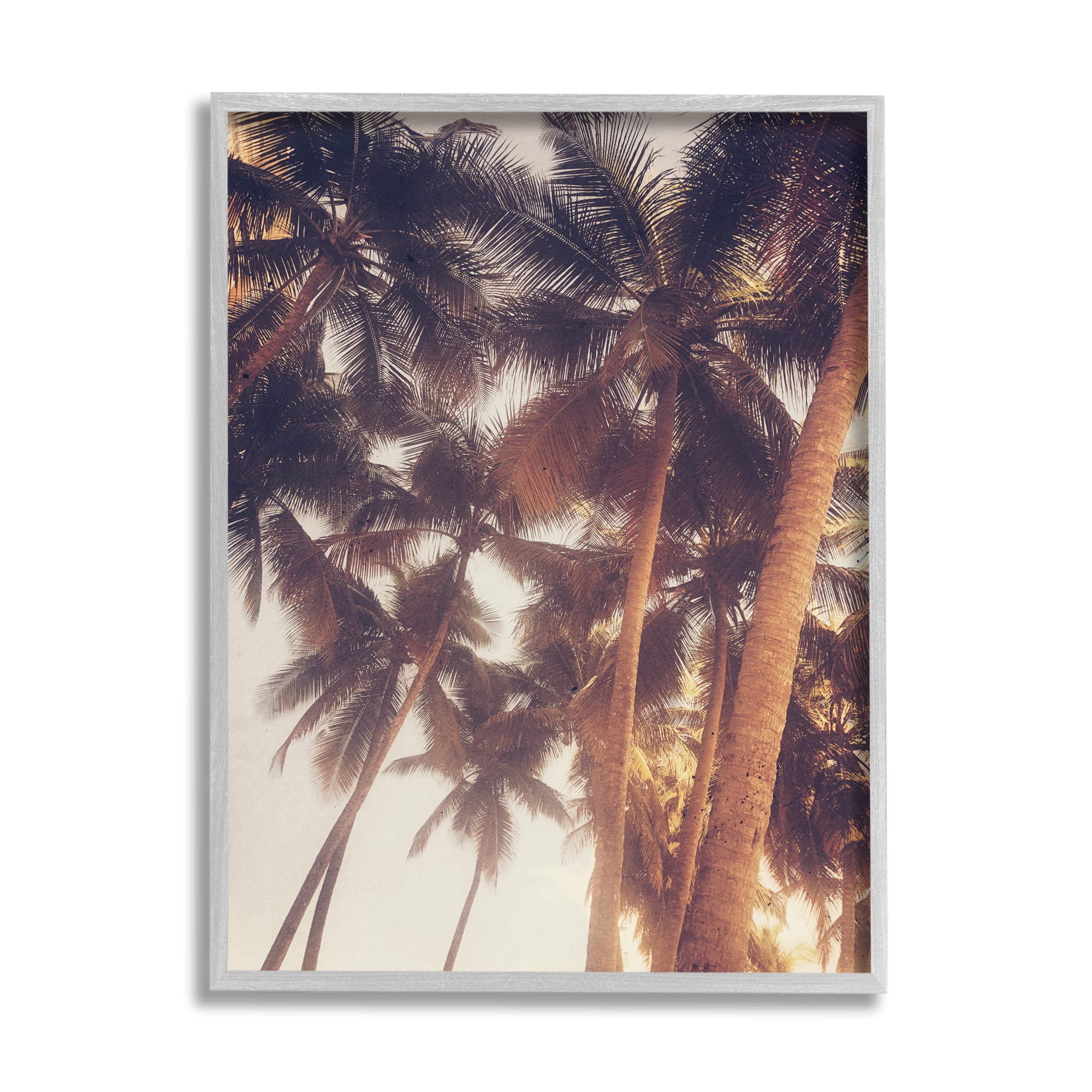 Stupell Indtries Sun Bleached Palm Tree Tops Vintage Summer Sky,11 x 14,Design by Acosta