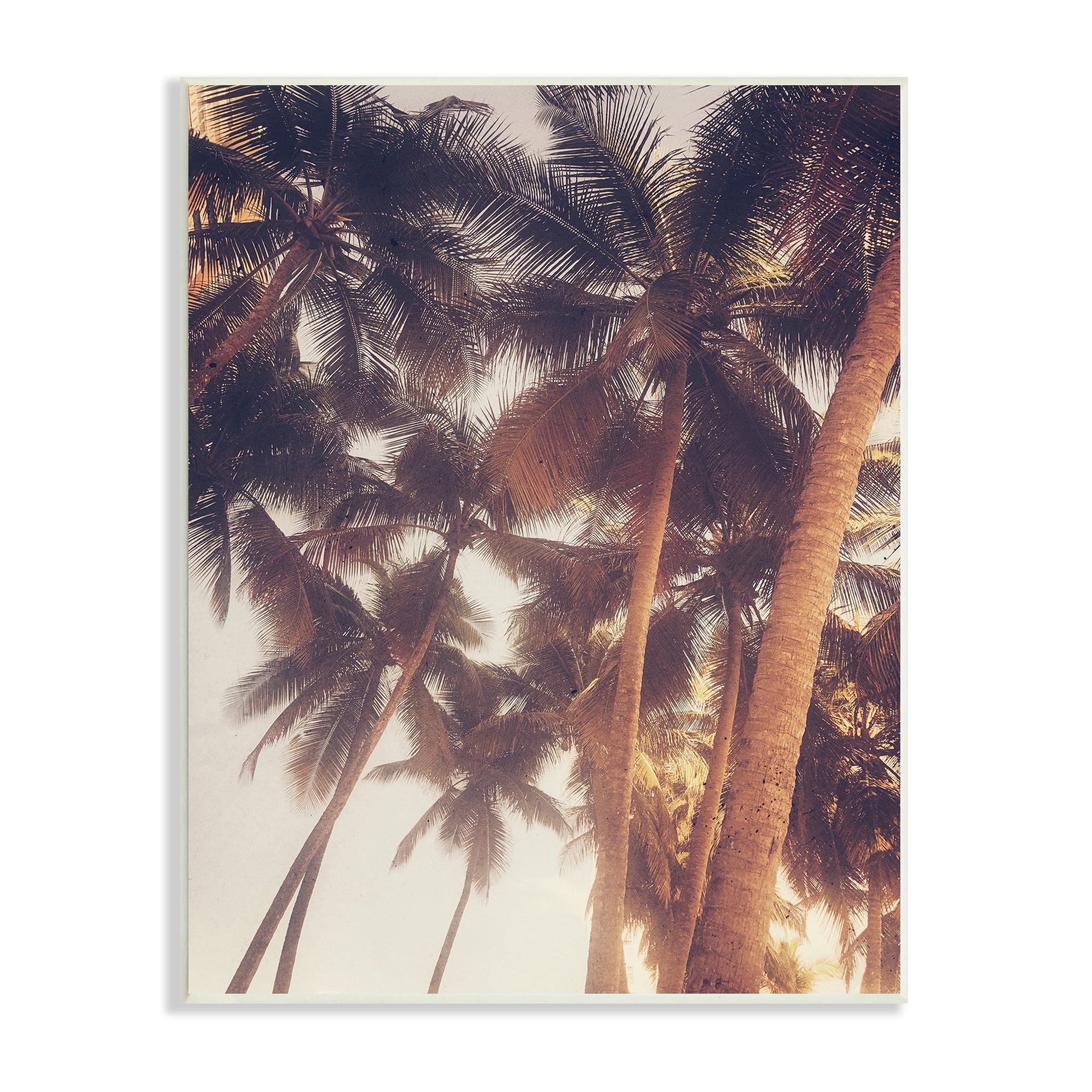 Stupell Indtries Sun Bleached Palm Tree Tops Vintage Summer Sky,13 x 19,Design by Acosta