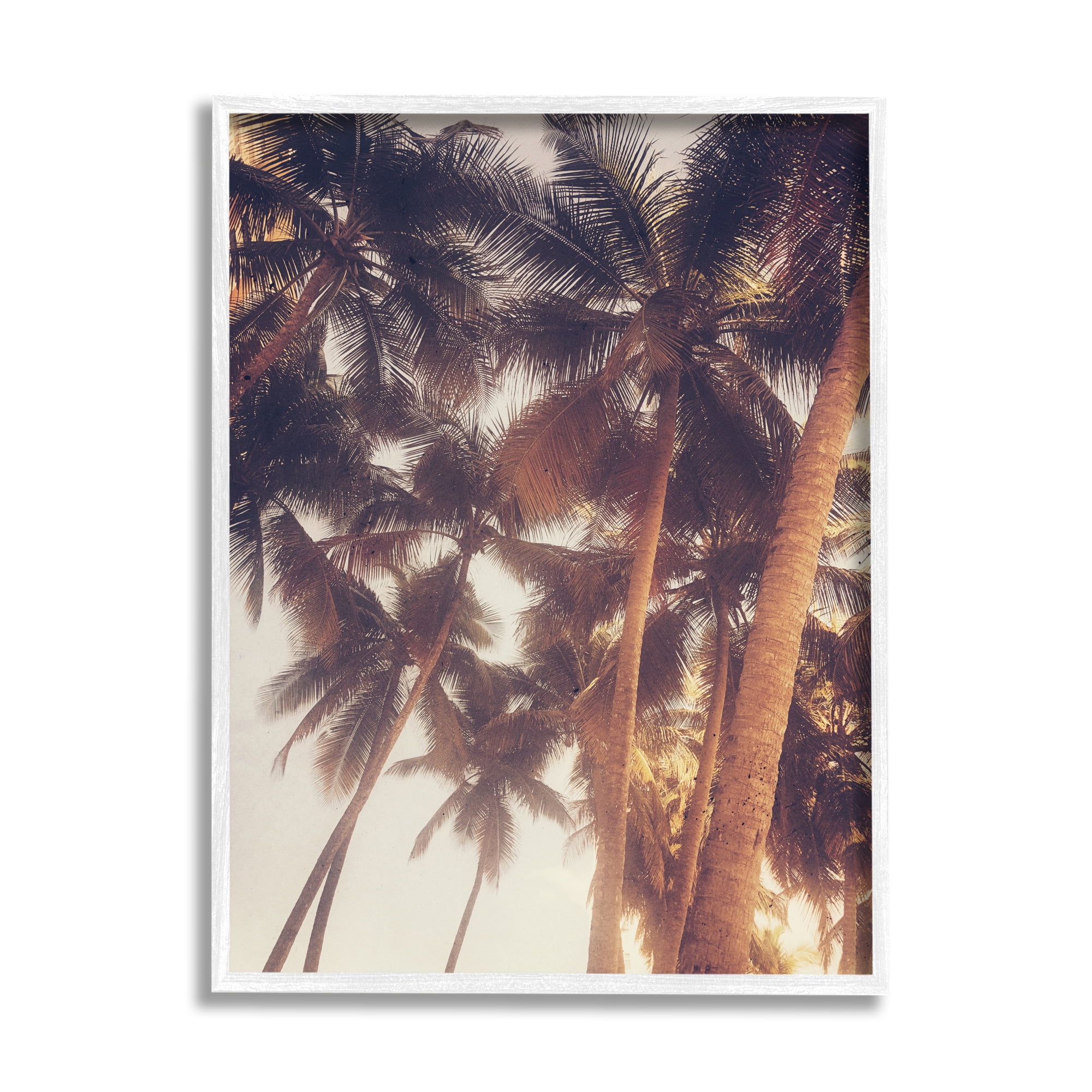 Stupell Indtries Sun Bleached Palm Tree Tops Vintage Summer Sky,24 x 30,Design by Acosta