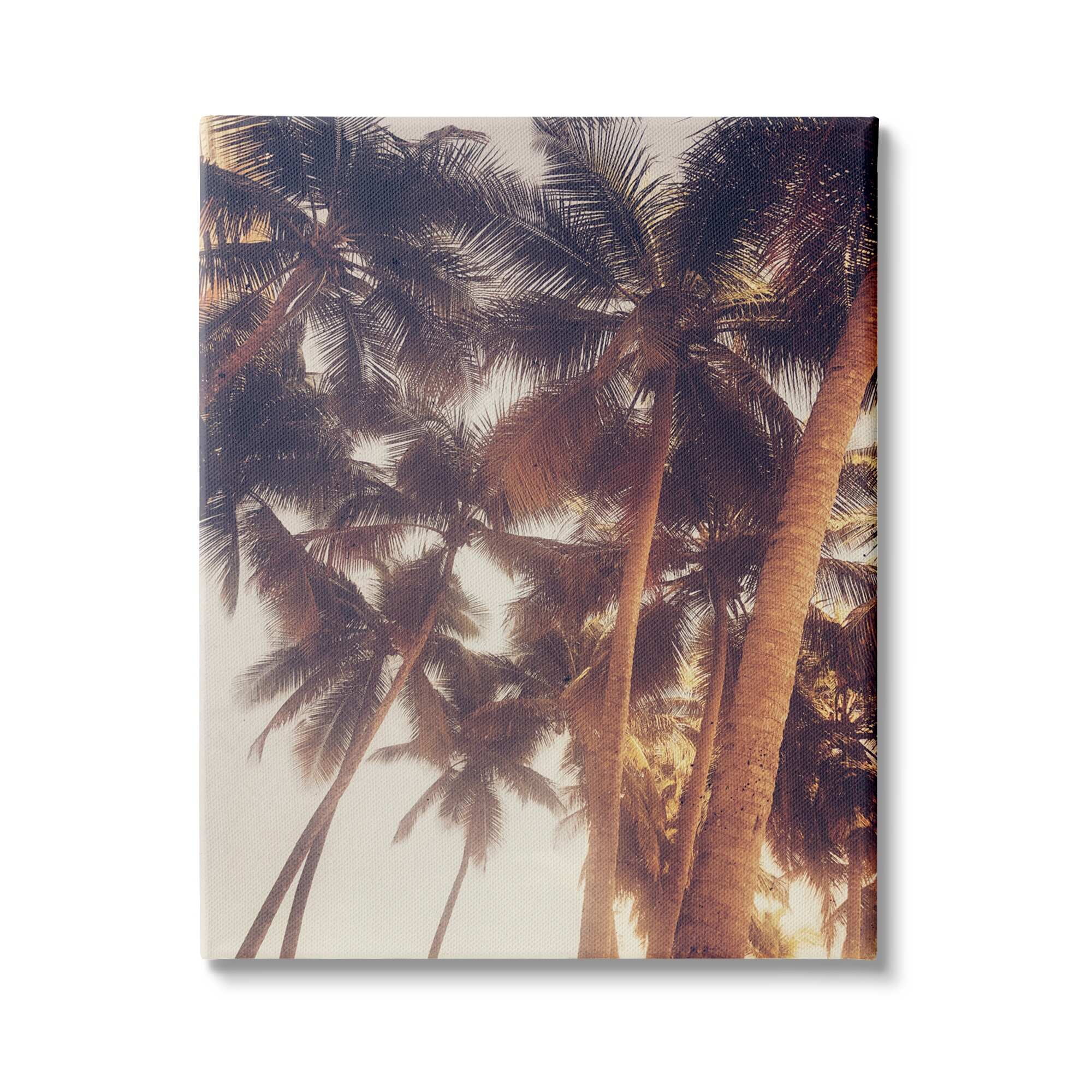 Stupell Indtries Sun Bleached Palm Tree Tops Vintage Summer Sky,36 x 48,Design by Acosta