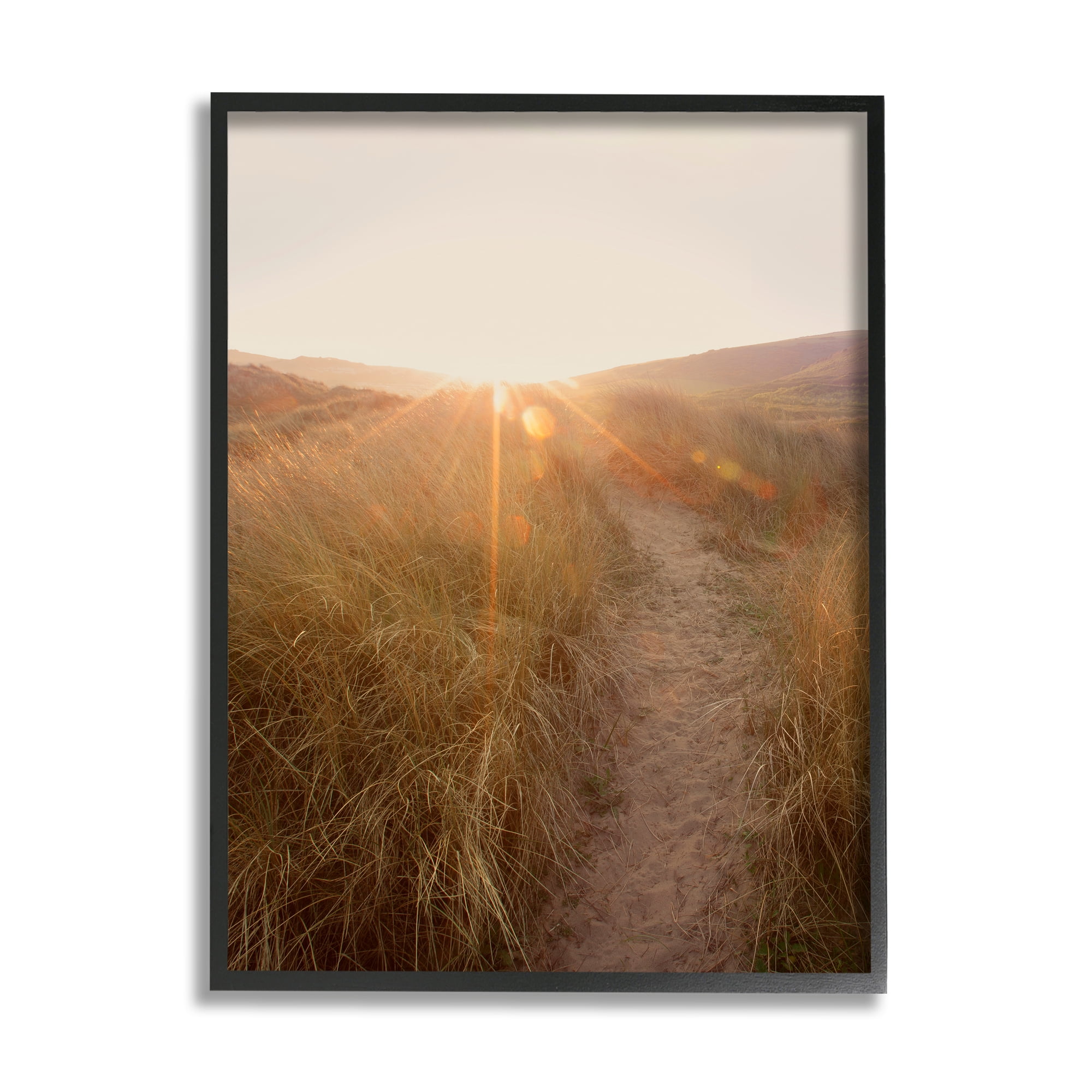 Stupell Indtries Sunrays Through Sun Bleached Sand Dunes Tall Grass,11 x 14,Design by Ian Winstanley